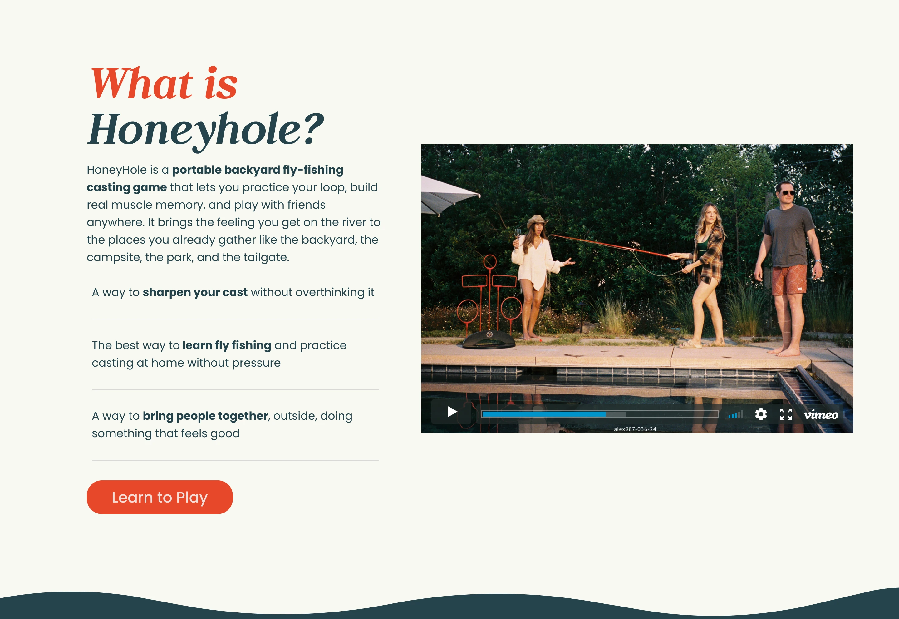 What is Honeyhole? explainer section with product video